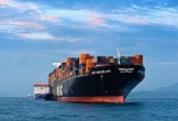 Henan Zhongyuan International Supply Chain Co., Ltd